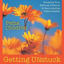 getting unstuck: breaking your habitual patterns and encountering naked reality audiobook cover image