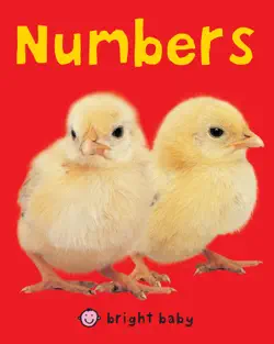 bright baby numbers book cover image