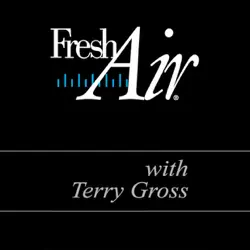 fresh air, david sheff and nic sheff, february 26, 2008 (nonfiction) audiobook cover image