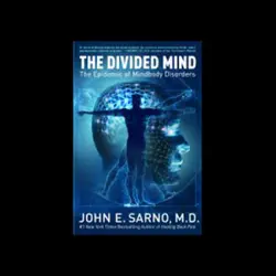 the divided mind audiobook cover image