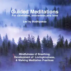 guided meditations: for calmness, awareness, and love (unabridged) audiobook cover image