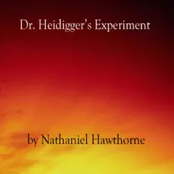 dr. heidigger's experiment (unabridged) audiobook cover image