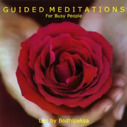 guided meditations for busy people (unabridged) audiobook cover image