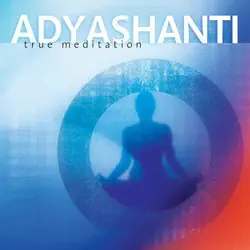 true meditation audiobook cover image