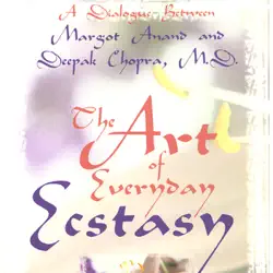the art of everyday ecstasy (unabridged) audiobook cover image