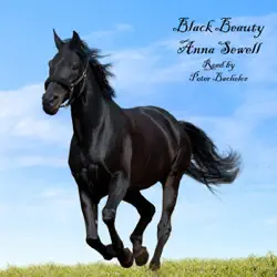 black beauty (unabridged) audiobook cover image