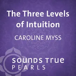 three levels of intuition: essential skills of the co-creator audiobook cover image