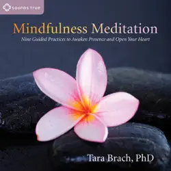 mindfulness meditation: nine guided practices to awaken presence and open your heart audiobook cover image