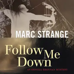 follow me down (unabridged) audiobook cover image