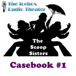 the scoop sisters: case book 1: a collection of crime from the northland's mavens of mystery audiobook cover image
