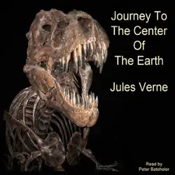 a journey to the center of the earth (unabridged) audiobook cover image