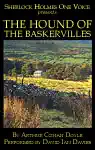 the hound of the baskervilles (unabridged) audiobook cover image