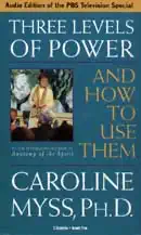 three levels of power and how to use them audiobook cover image