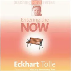 entering the now audiobook cover image
