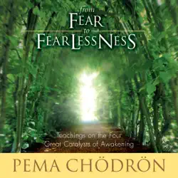from fear to fearlessness: teachings on the four great catalysts of awakening audiobook cover image