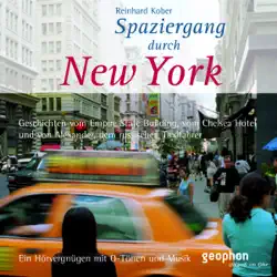 spaziergang durch new york audiobook cover image