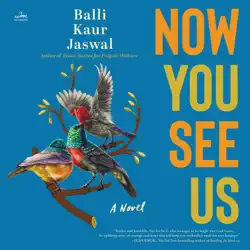 now you see us audiobook cover image