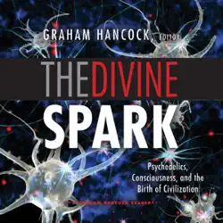 the divine spark audiobook cover image
