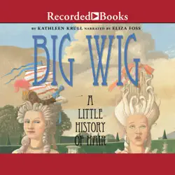 big wig audiobook cover image