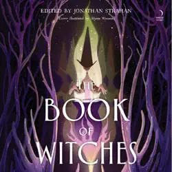 the book of witches audiobook cover image