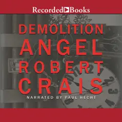 demolition angel audiobook cover image