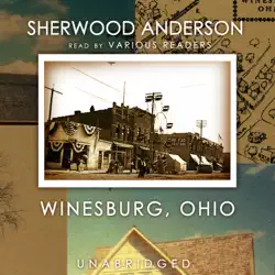 winesburg, ohio audiobook cover image