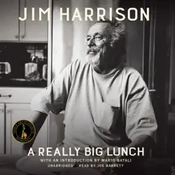 a really big lunch audiobook cover image