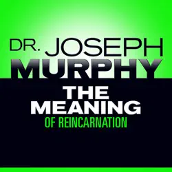 the meaning reincarnation imagen de portada de audiolibro