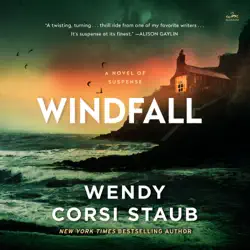 windfall audiobook cover image
