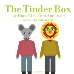 the tinder box, a fairytale for kids audiobook cover image