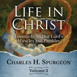 life in christ vol 3 audiobook cover image