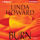 Burn (Unabridged) MP3 Audiobook