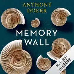 memory wall audiobook cover image