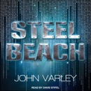 Steel Beach MP3 Audiobook