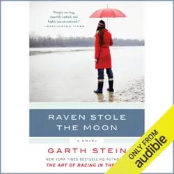 raven stole the moon: a novel (unabridged) audiobook cover image