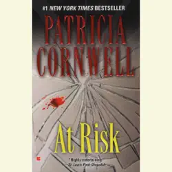 at risk (unabridged) audiobook cover image