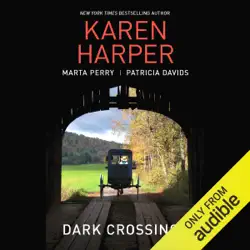 dark crossings (unabridged) audiobook cover image
