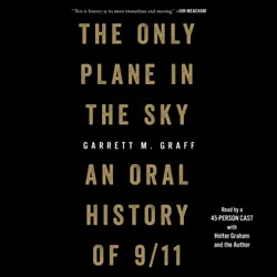 the only plane in the sky (unabridged) audiobook cover image