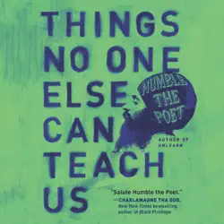 things no one else can teach us audiobook cover image