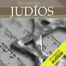 breve historia de los judíos (unabridged) imagen de portada de audiolibro
