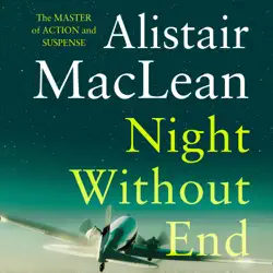 night without end audiobook cover image
