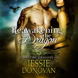 reawakening the dragon audiobook cover image