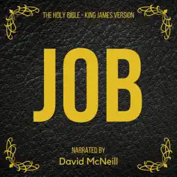 the holy bible - job (king james version) audiobook cover image