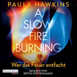 a slow fire burning audiobook cover image