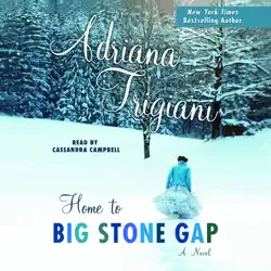 home to big stone gap: a novel (unabridged) audiobook cover image