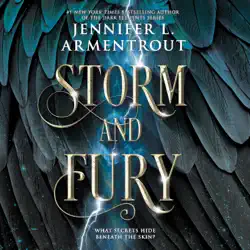 storm and fury audiobook cover image