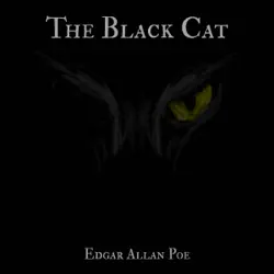 the black cat audiobook cover image