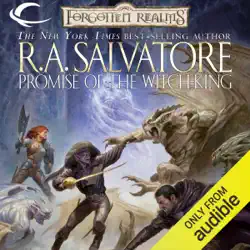 promise of the witch-king: forgotten realms: the sellswords, book 2 (unabridged) audiobook cover image
