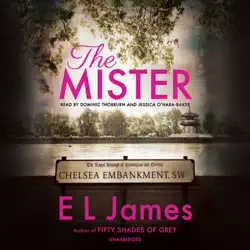 the mister (unabridged) audiobook cover image