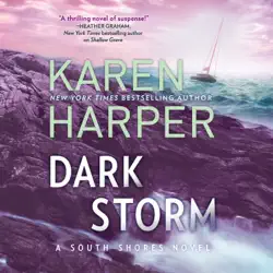 dark storm audiobook cover image